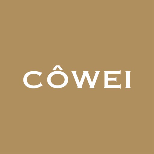 cowei-berlin.de
